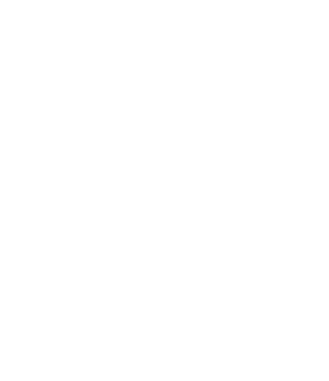 GAP A.P.C.