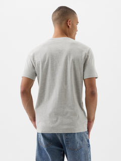 Everyday Soft Crewneck T-Shirt - heather grey