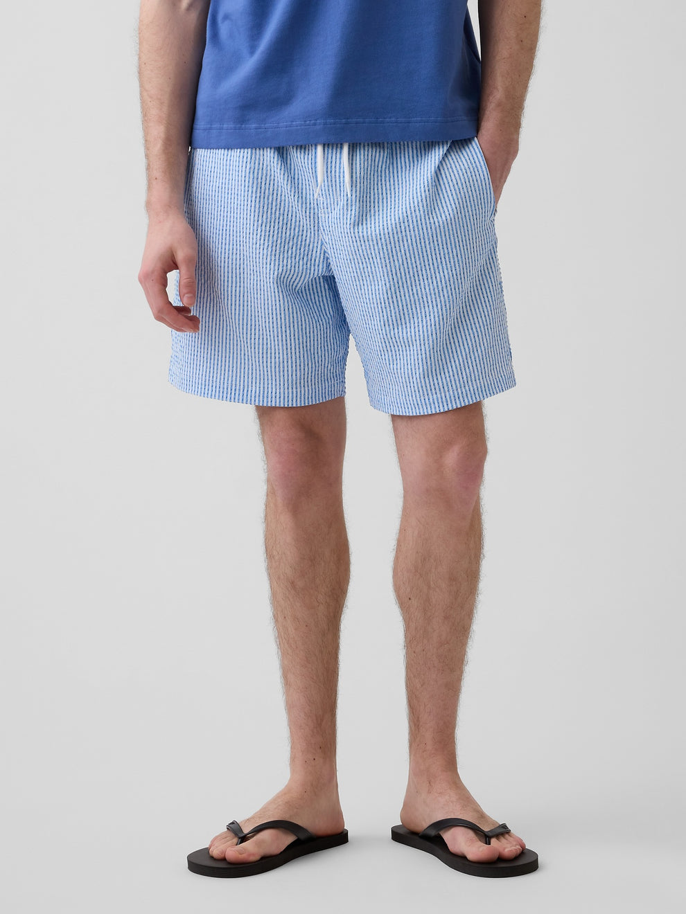 6" Swim Trunks - BLUE STRIPE