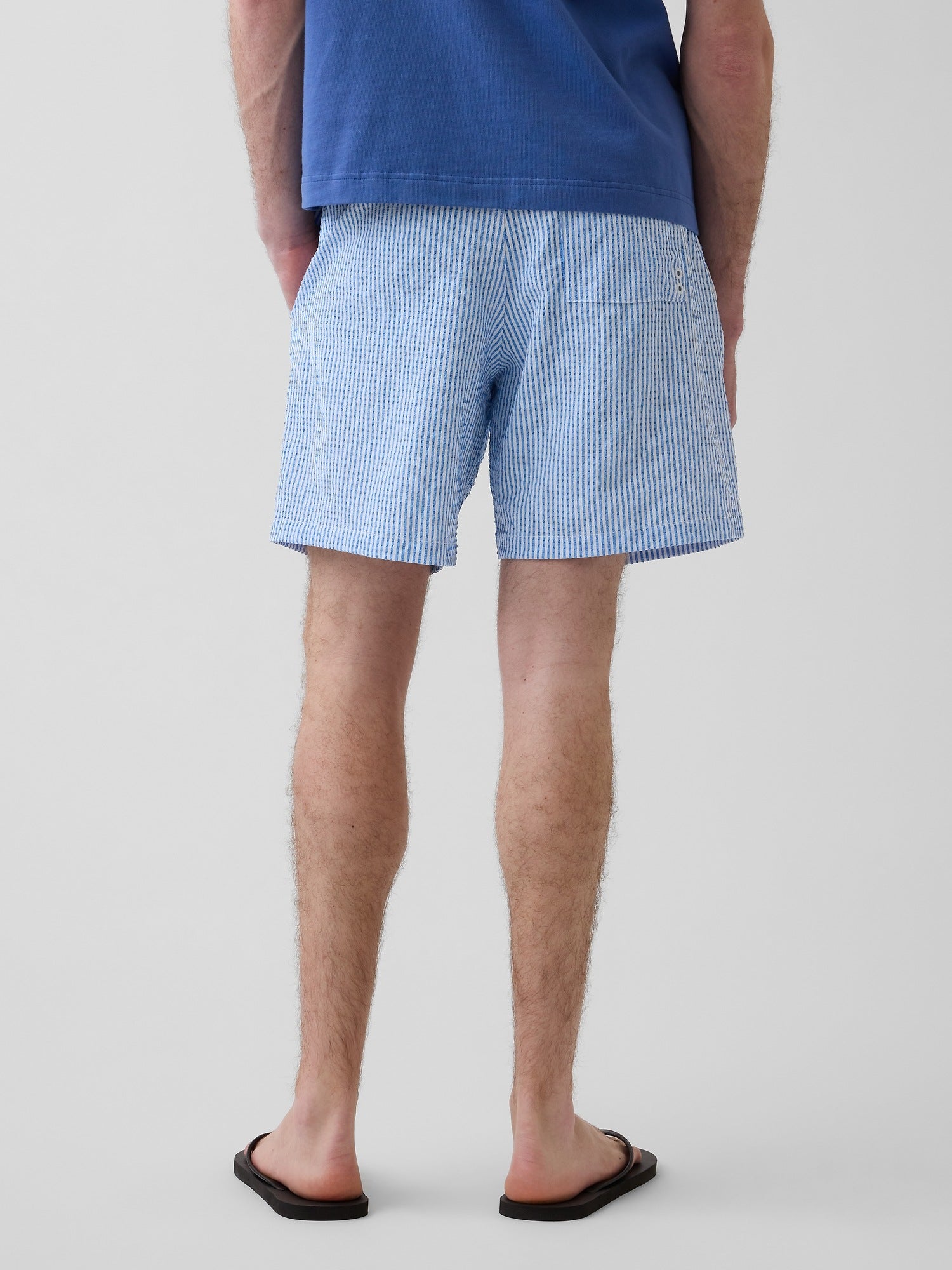 6" Swim Trunks - BLUE STRIPE