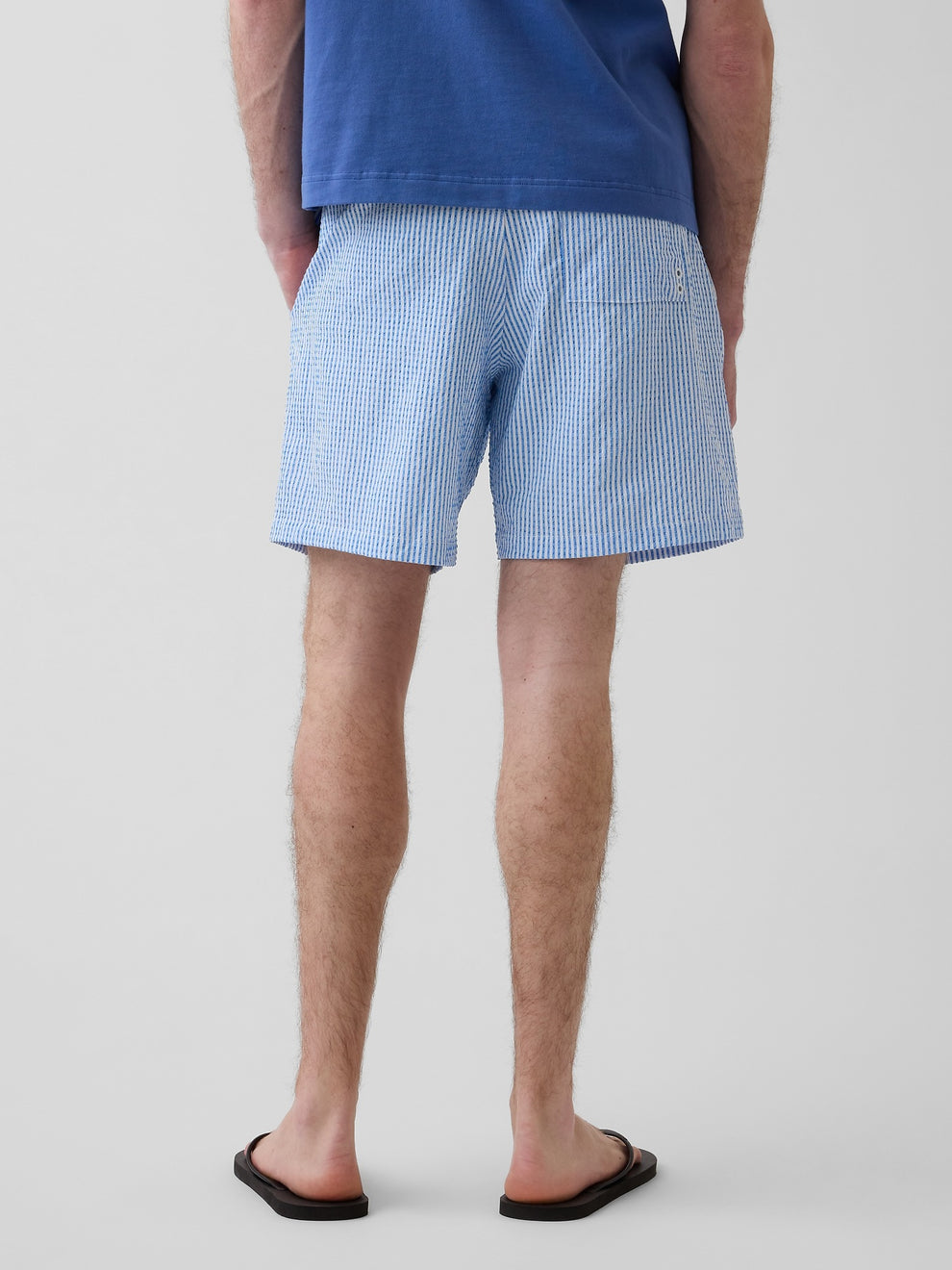 6" Swim Trunks - BLUE STRIPE
