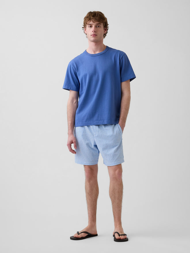6" Swim Trunks - BLUE STRIPE