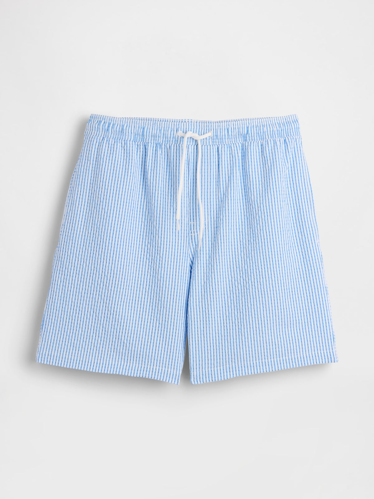 6" Swim Trunks - BLUE STRIPE
