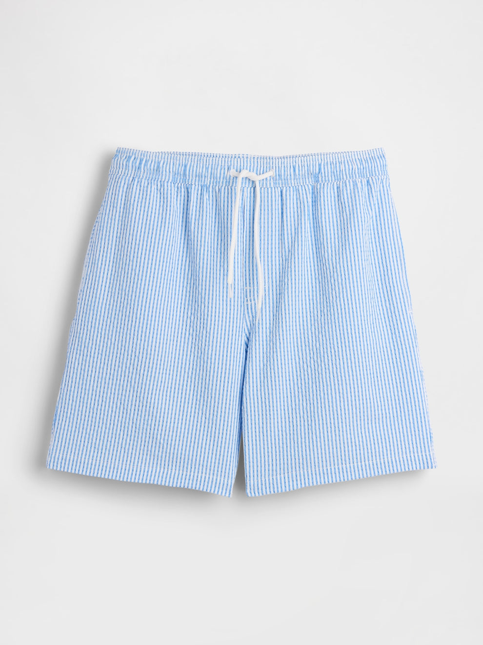 6" Swim Trunks - BLUE STRIPE