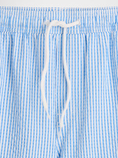 6" Swim Trunks - BLUE STRIPE