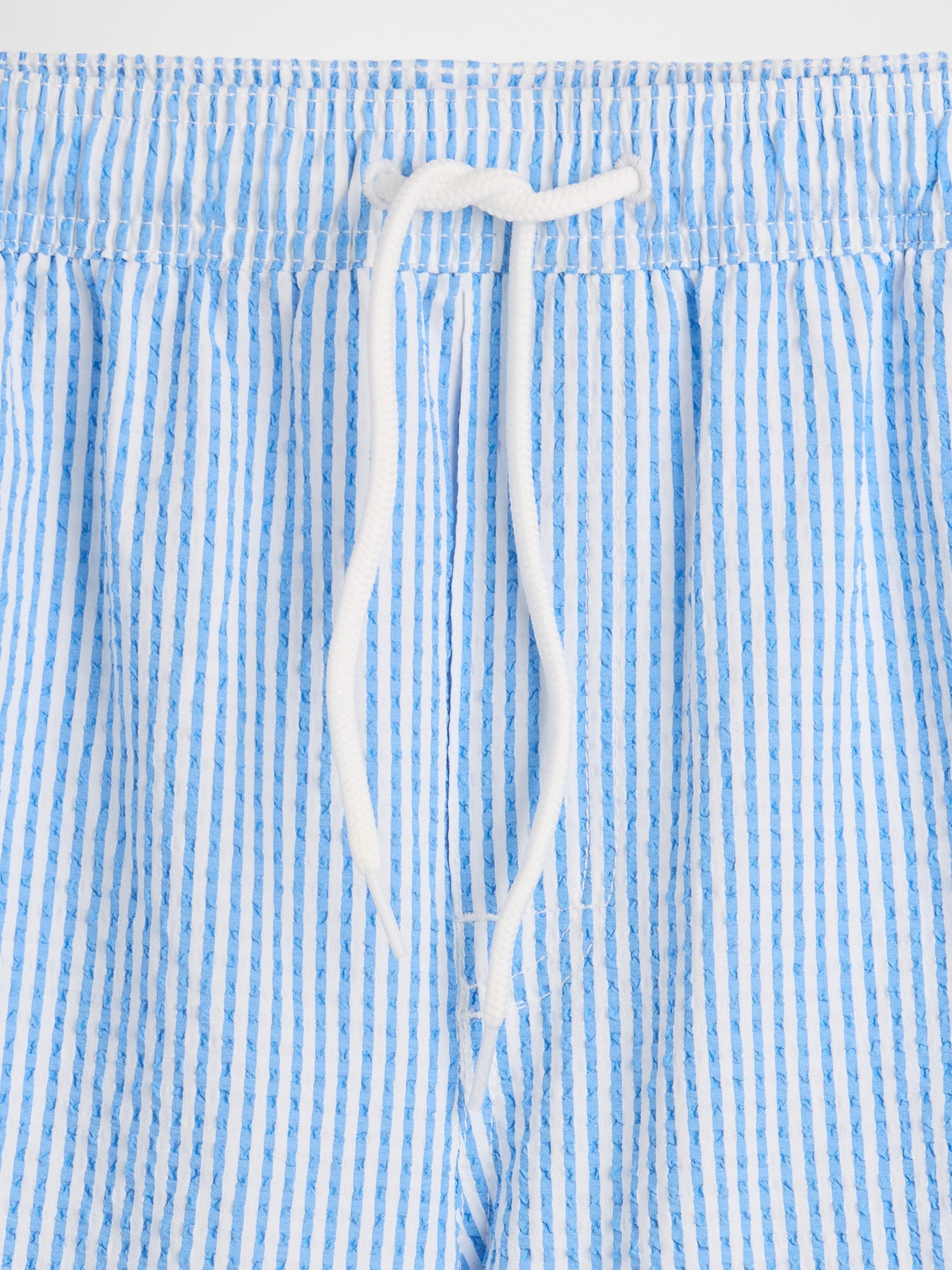 6" Swim Trunks - BLUE STRIPE