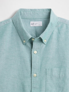 Oxford Shirt in Standard Fit - New algae green