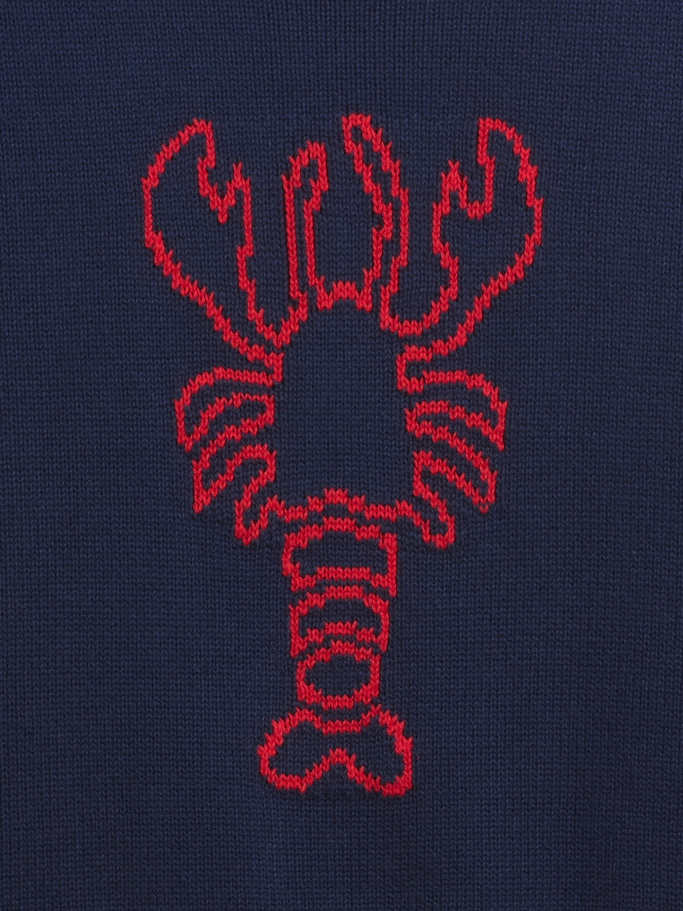 Rollneck Intarsia Sweater - Lobster print
