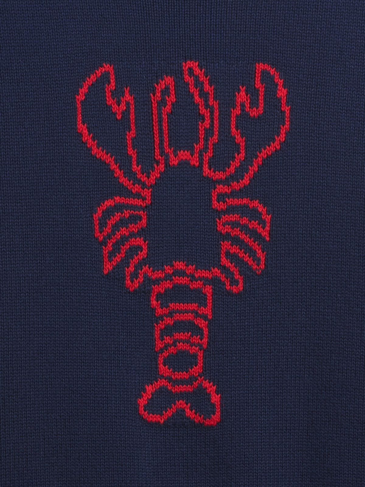 Gap Rollneck Intarsia Sweater in Lobster print, lobster graphic detail