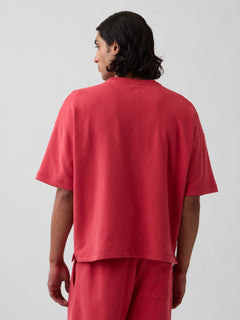 VintageSoft Terry Oversized Logo Sweatshirt - FADED RED